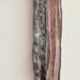 'grote kattenstaart'